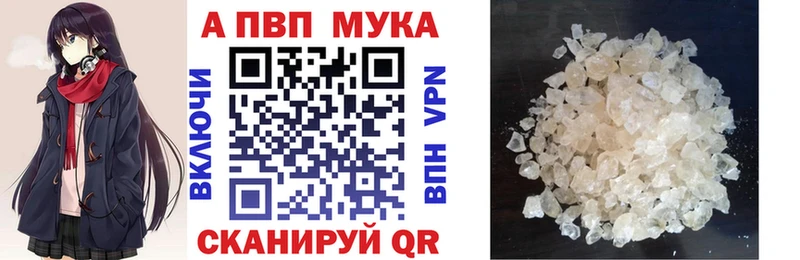 Как найти наркотики Александровск-Сахалинский ГАШ  СК  кракен онион  Меф мяу мяу  МАРИХУАНА  Cocaine  Бутират 